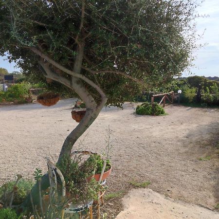 Casa Eroma Bed & Breakfast Cuili Issi Exterior photo