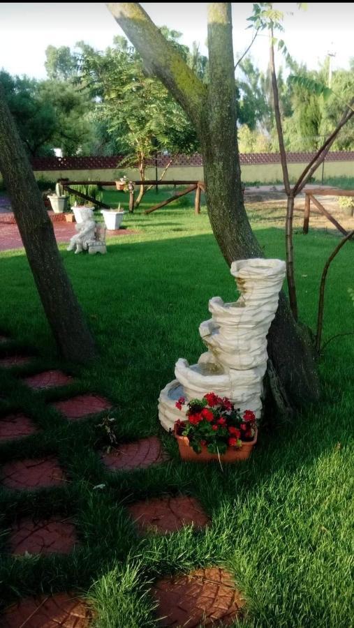 Casa Eroma Bed & Breakfast Cuili Issi Exterior photo