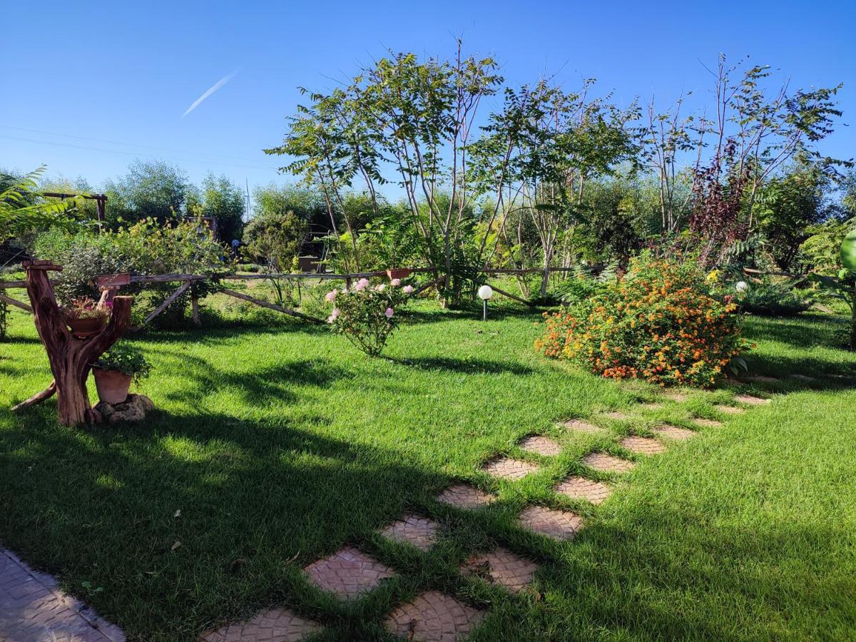 Casa Eroma Bed & Breakfast Cuili Issi Exterior photo